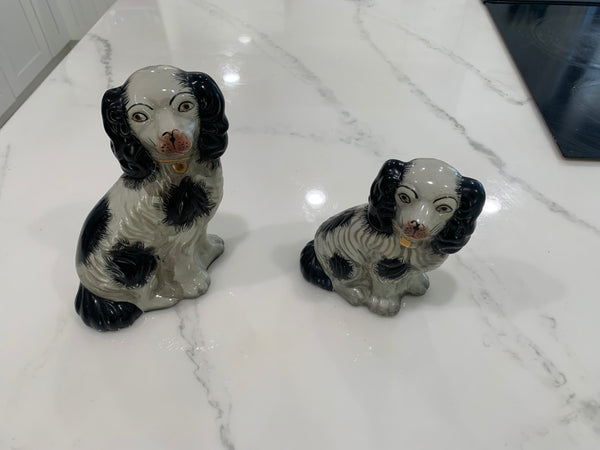 Staffordshire King Charles Spaniel Dogs - a Pair