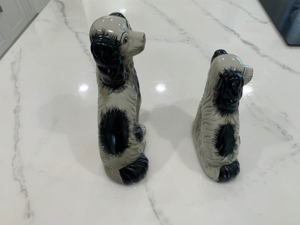 Staffordshire King Charles Spaniel Dogs - a Pair