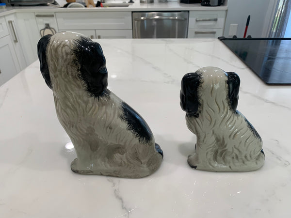 Staffordshire King Charles Spaniel Dogs - a Pair