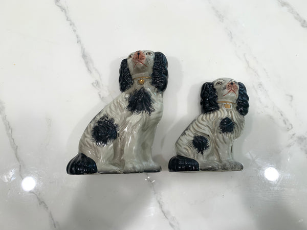 Staffordshire King Charles Spaniel Dogs - a Pair